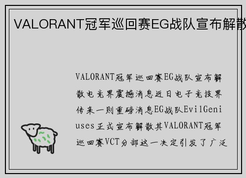 VALORANT冠军巡回赛EG战队宣布解散