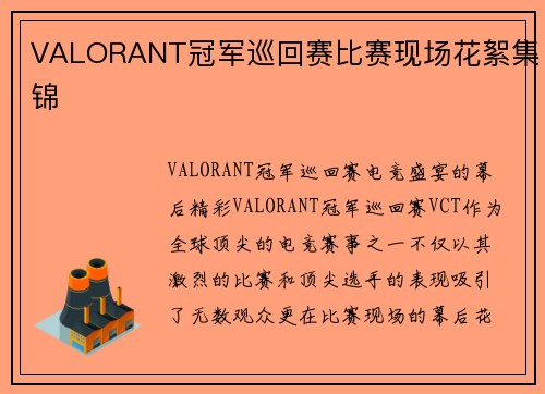 VALORANT冠军巡回赛比赛现场花絮集锦