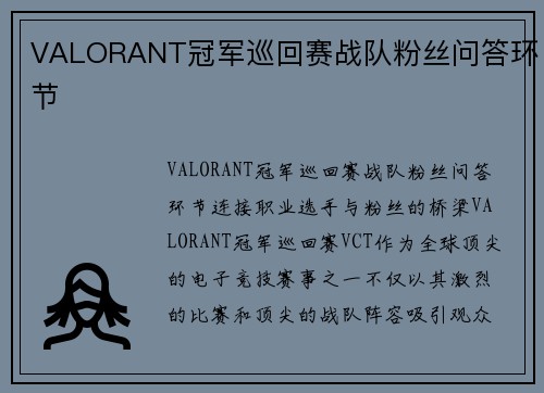 VALORANT冠军巡回赛战队粉丝问答环节