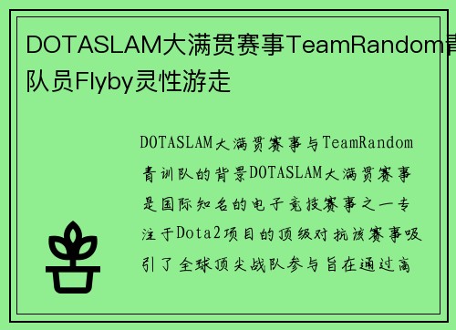 DOTASLAM大满贯赛事TeamRandom青训队员Flyby灵性游走